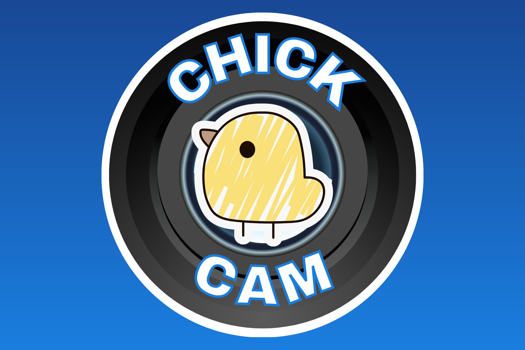 chick with camera